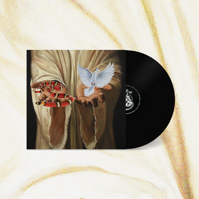 Flee Lord - Later Is Now [Vinyl Record / LP]