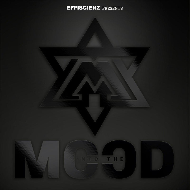 Mood - Into The Mood [CD]-EFFISCIENZ-Dig Around Records