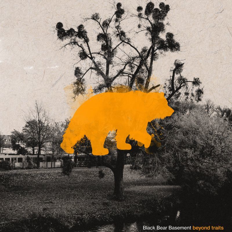 Black Bear Basement - Beyond Traits [Transparent / Orange Splatter / Repress] [Vinyl Record / 12"]-Dezi-Belle Records-Dig Around Records