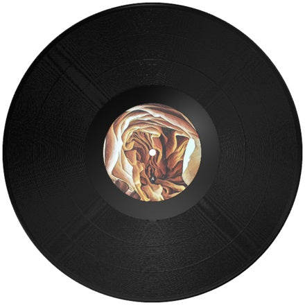 Franz Branntwein & The Black Depths - Franz Branntwein & The Black Depths EP [Vinyl Record / 12"]-Not On Label-Dig Around Records