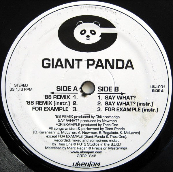 Giant Panda - '88 Remix  [Vinyl Record / 12"]