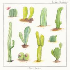 Joe Space & Drumtomski - Nudus Cactus 【Vinyl Record | LP】-HHV.DE-Dig Around Records