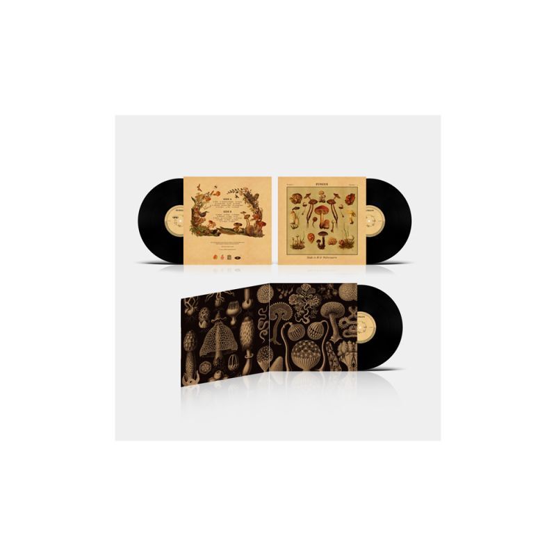 MADE IN M & WALTERWARM - FUNGUS [Vinyl Record / LP + Download Code + Sticker]-Guayaba Records-Dig Around Records