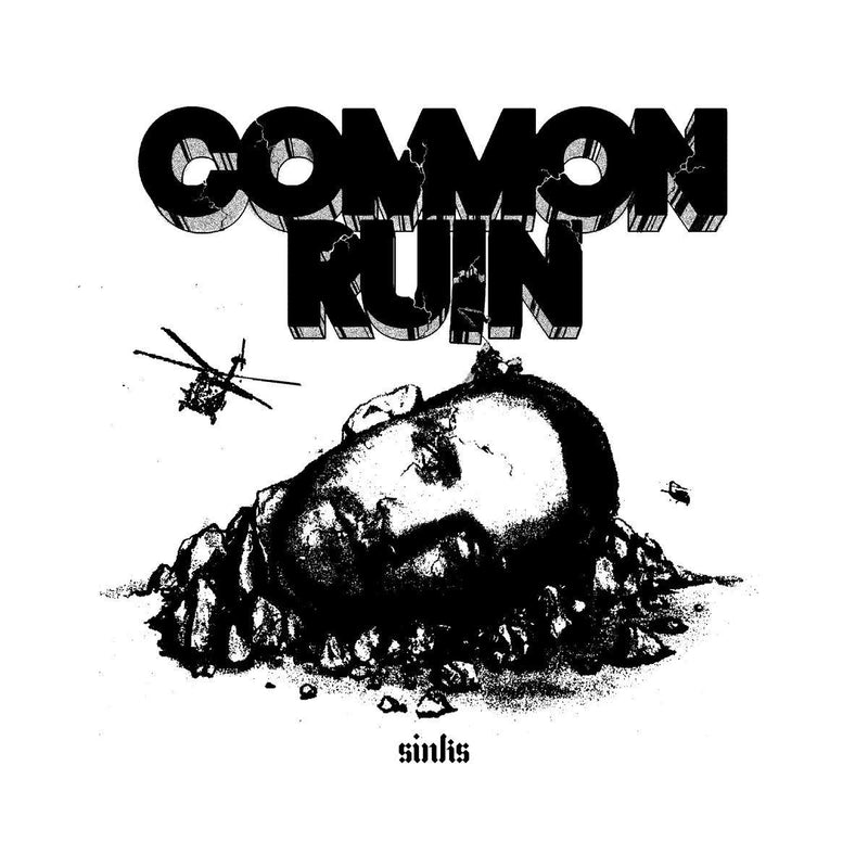 SINKS - Common Ruin [Vinyl Record / LP]-Not On Label-Dig Around Records