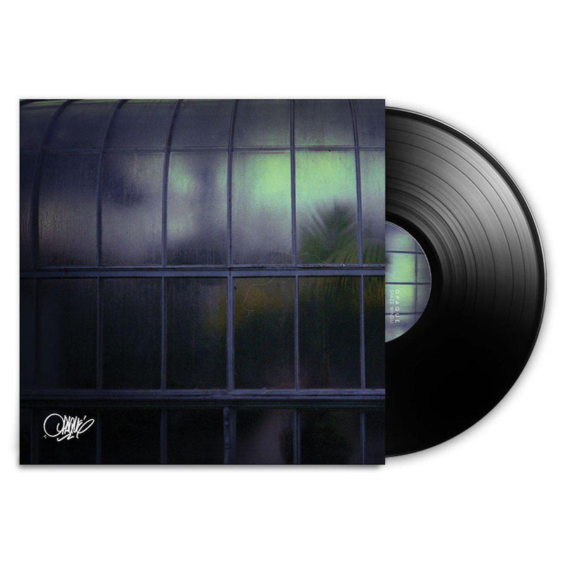 Spaze Windu - Opaque [Vinyl Record / LP + DL Code]-Durch Drauf Records-Dig Around Records