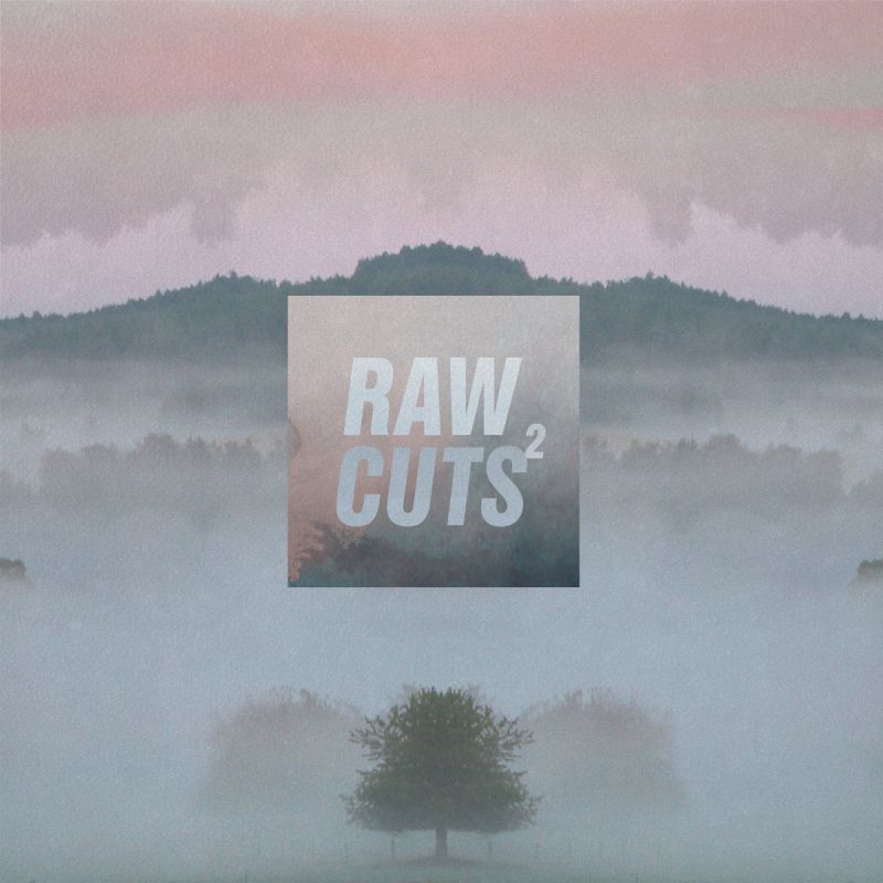 Various - Raw Cuts 2 [Vinyl Record / LP]-Chillhop Records-Dig Around Records