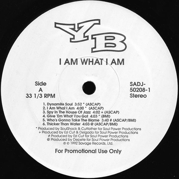 YB（Young Blood） - I Am What I Am  [Vinyl Record / LP]